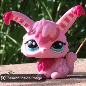 ISO LPS ANGORA BUNNIES